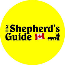 's Guide